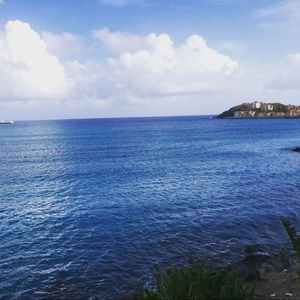 Meet your Posher, Greta